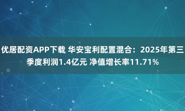 优居配资APP下载 华安宝利配置混合：2025年第三季度利润1.4亿元 净值增长率11.71%