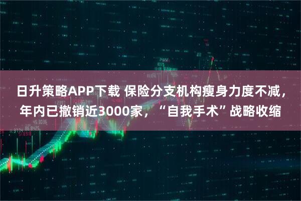 日升策略APP下载 保险分支机构瘦身力度不减，年内已撤销近3000家，“自我手术”战略收缩