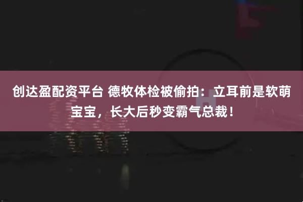 创达盈配资平台 德牧体检被偷拍：立耳前是软萌宝宝，长大后秒变霸气总裁！