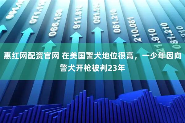 惠红网配资官网 在美国警犬地位很高，一少年因向警犬开枪被判23年